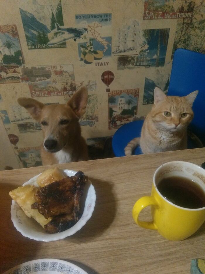 � �� ����, � �� ������ ���� ���!