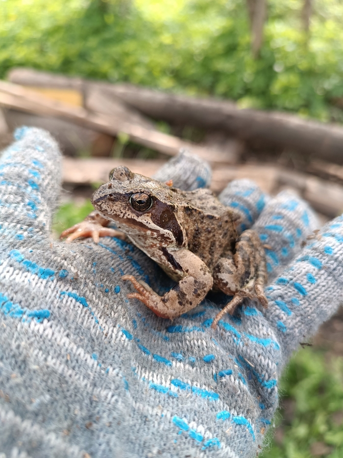 Со средой, мои чуваки!
