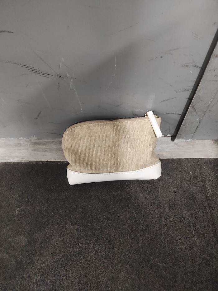 Забытая сумочка в электричке сергиев посад - москва