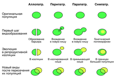 ����������� � �����������