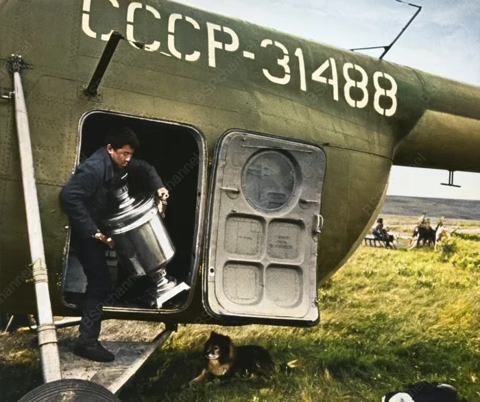 Фотограф: Всеволод Тарасевич Фотограф: Всеволод Тарасевич