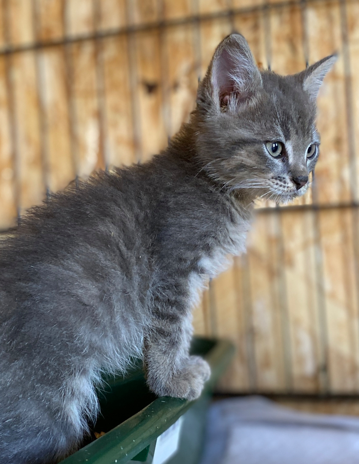 Изумительное чувство равновесия 🎊
