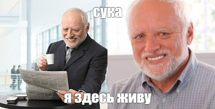 Я читаю новость про главу своего муниципалитета
