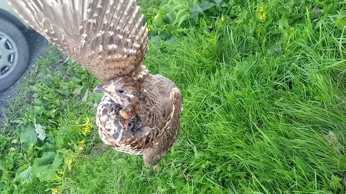 ��� ����� ������ ��������� � ����