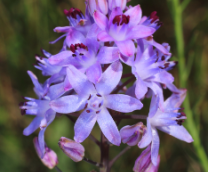 ������� ����������!