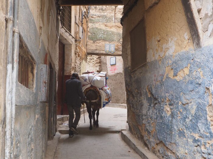    , ,  .  .      ,   , .