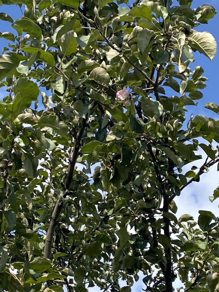  ? , , , , , , , 