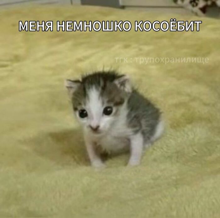 Чек-лист симптомов: когда идти к врачу при подозрении на рак груди