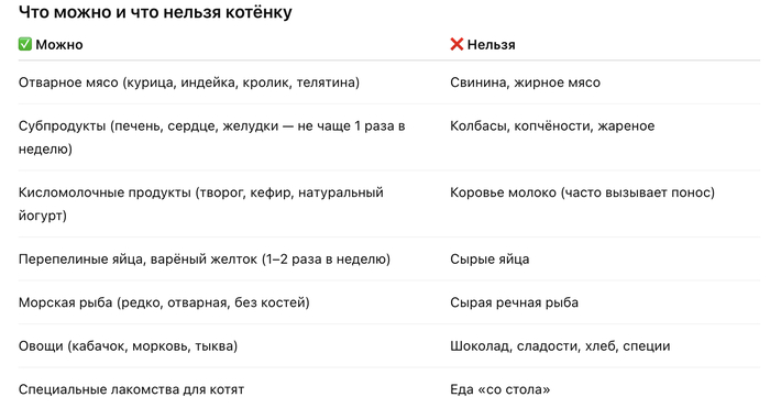 Что можно и что нельзя котенку