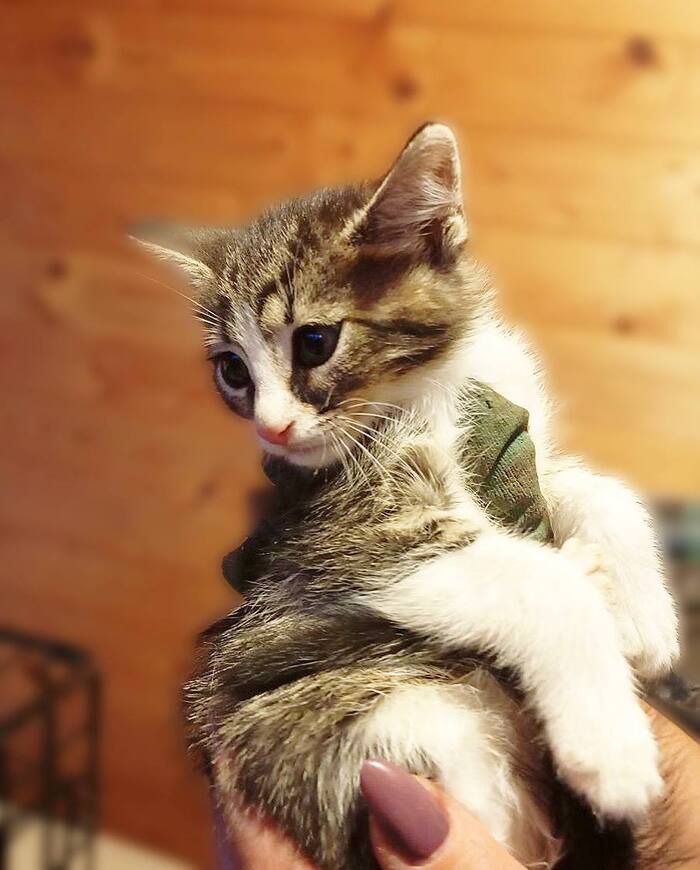 Детки из Холодной клетки ищут добрые семьи!