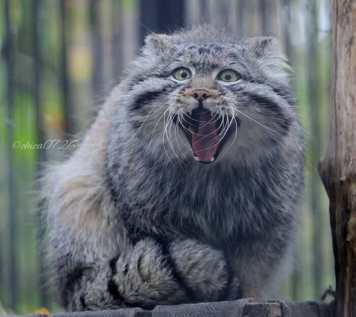 Пяяяяятница