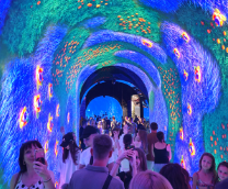 ���������������������