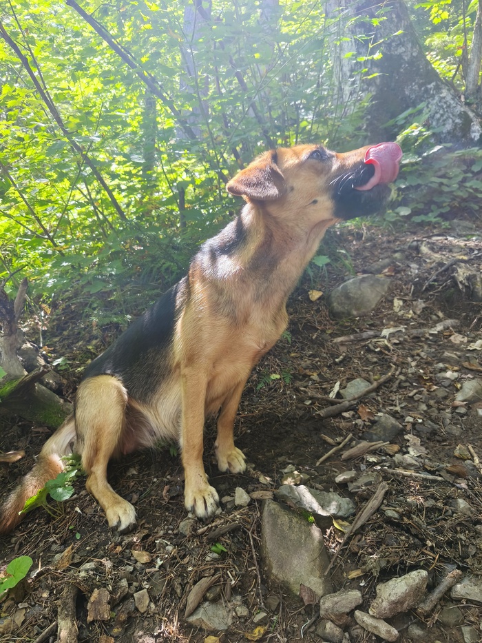 Новый друг,а точнее подруга ☺️🙏