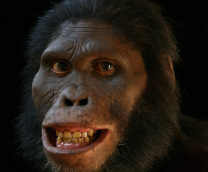 ���� �� �������� ��������