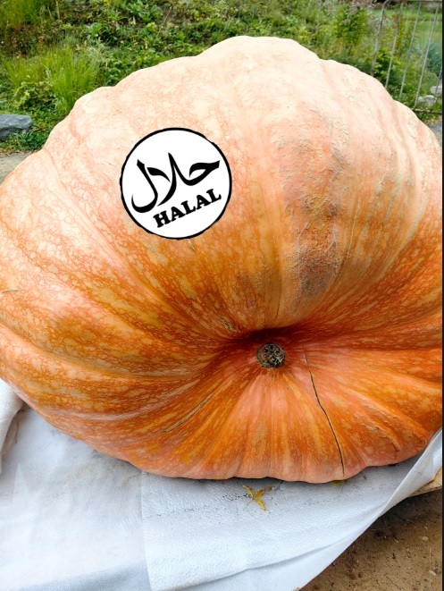 В связи с последними событиями