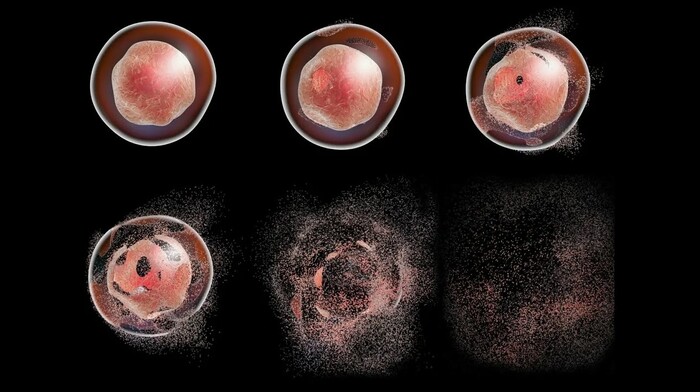 ����� ���� � �����