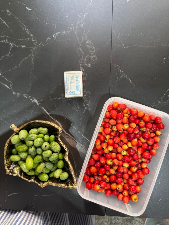  user10847545    1000+