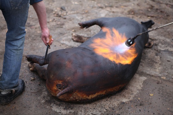 На это будут лепить?