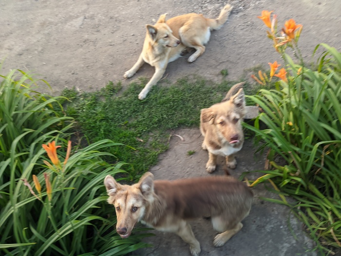  ,  ,  ...    .&#x1F60C;