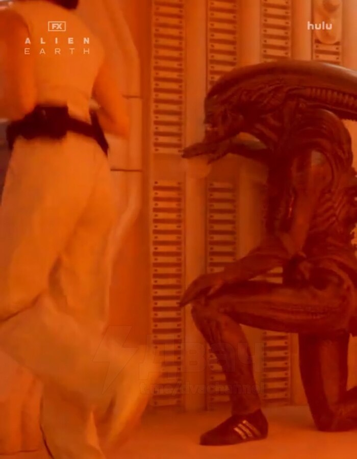 говорят это реальные кадры со съемок сериала