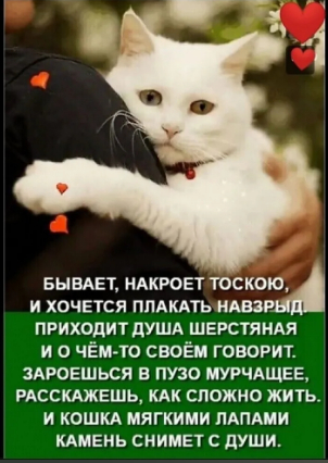  -  !    