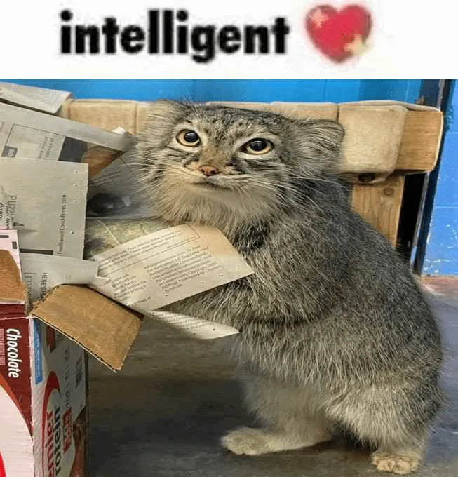    (   ),        .  : Niabi Zoo