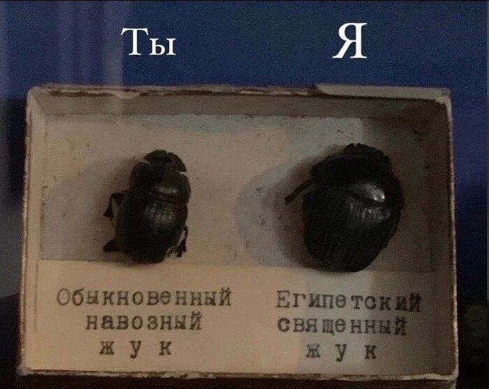 �������))