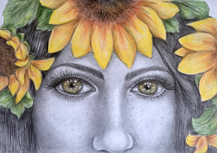 ����� �����������