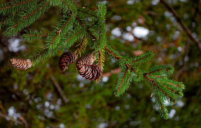 Фотодень №3