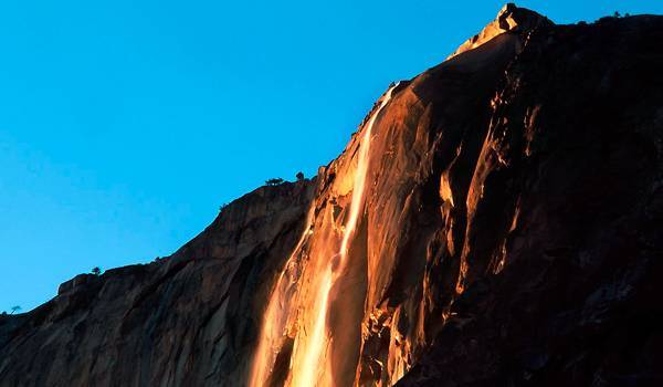 ������������ ����� �������