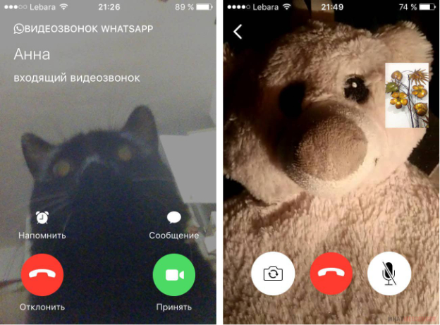 WhatsApp всё ещё лидер среди мессенджеров в России