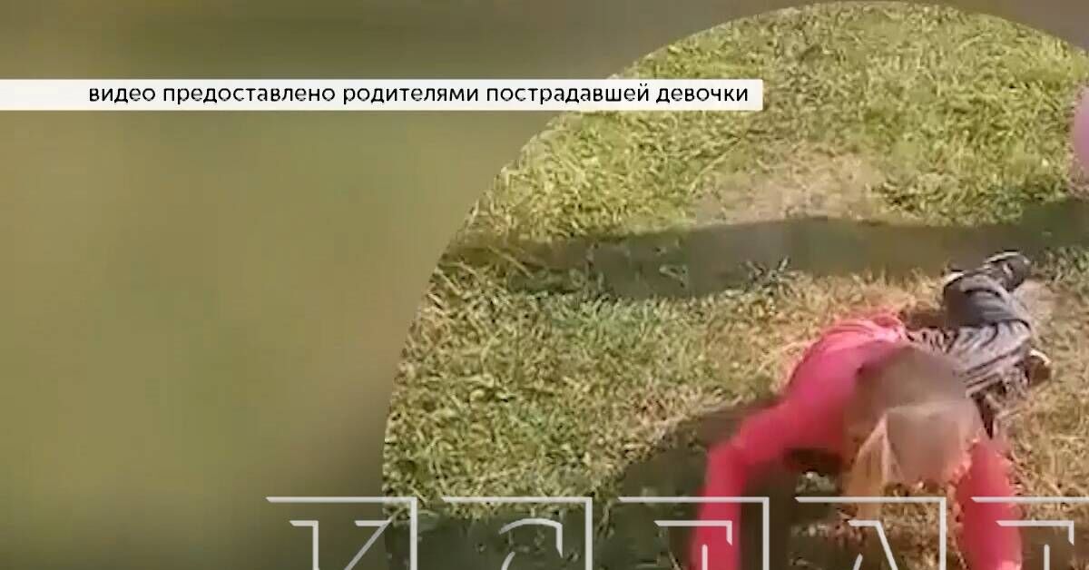 12-year-old girls are robbing apartments and beating children, but they cannot be held accountable. - Program by the way, Video, Longpost, news, Nizhny Novgorod, Video VK, YouTube (link), Negative, A wave of posts