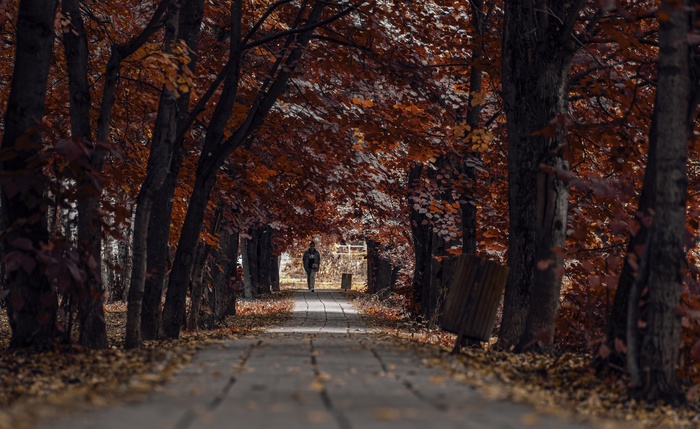 В парке Лобни