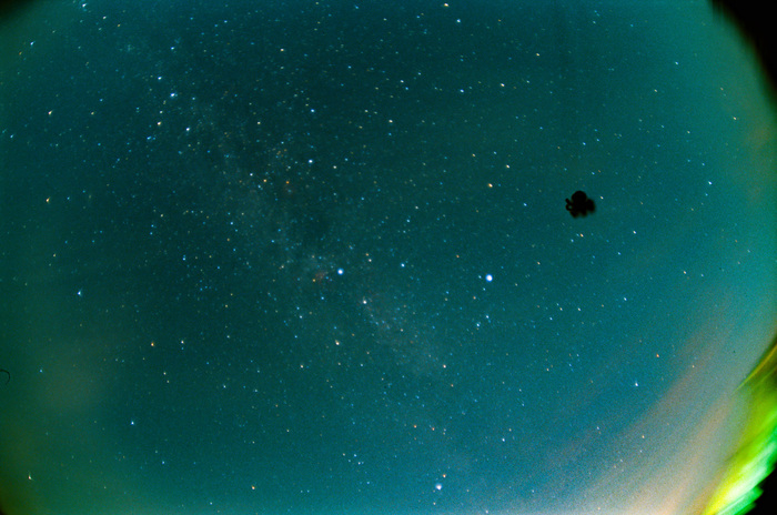 Черное - какая-то дикая тварь из дикого леса села на объектив