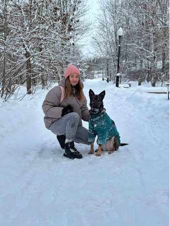 разрешите себе и своей собаки вдоволь поваляться и повозиться в снегу