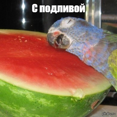 Иллюстрация к комментарию