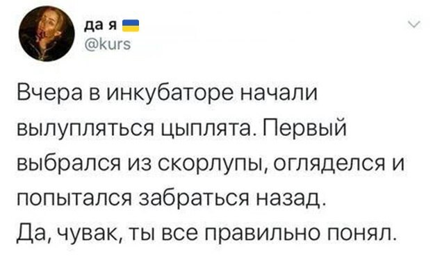 Когда вылупился на Украине