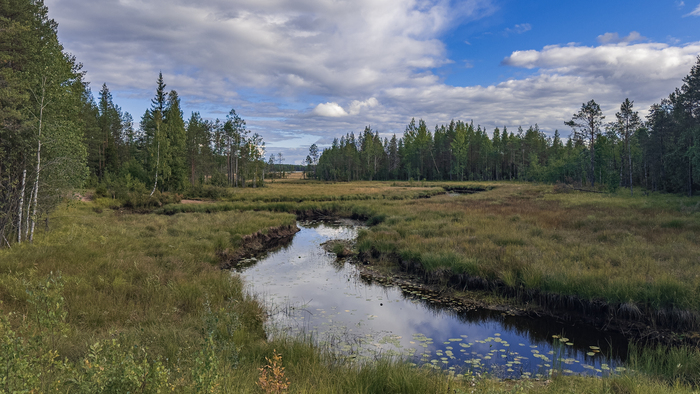 34. Дорожные зарисовки
