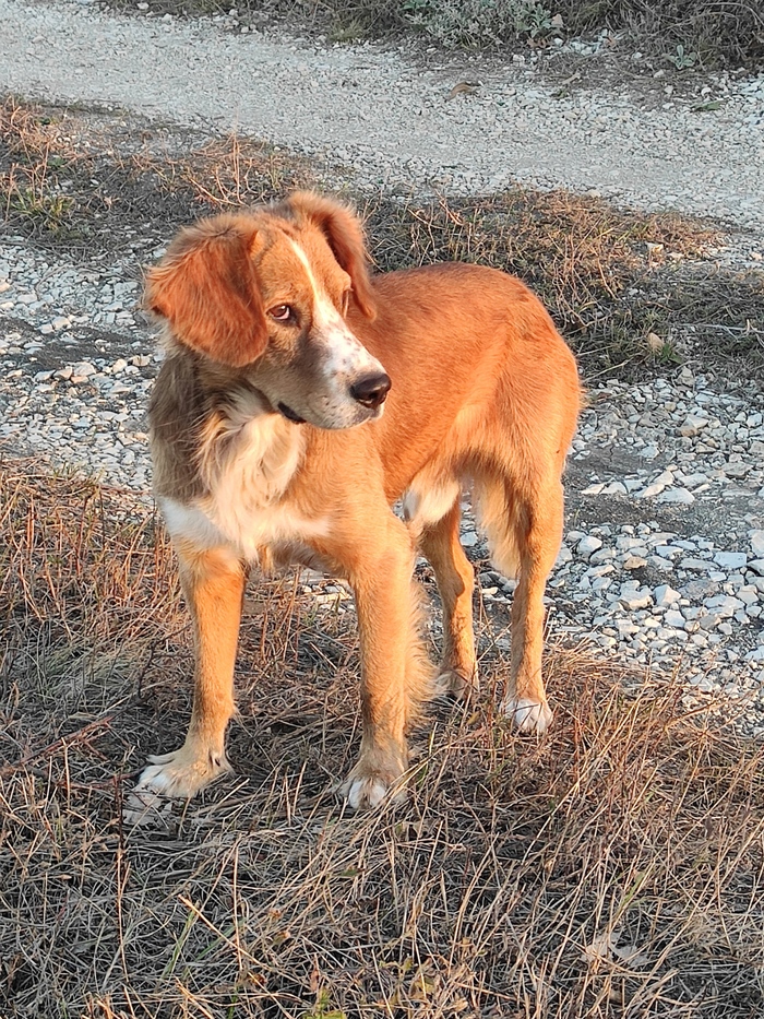   ! &#x1F415;&#x1F495;