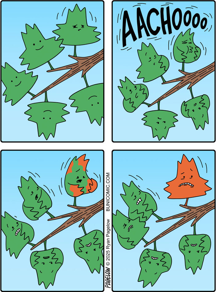 Осень наступает