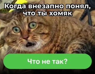 Реклама на Пикабу - Моё, Пикабу, Реклама, Зажрались, Бесит, Администрация, Видео, Без звука, Вертикальное видео, Короткие видео, Длиннопост