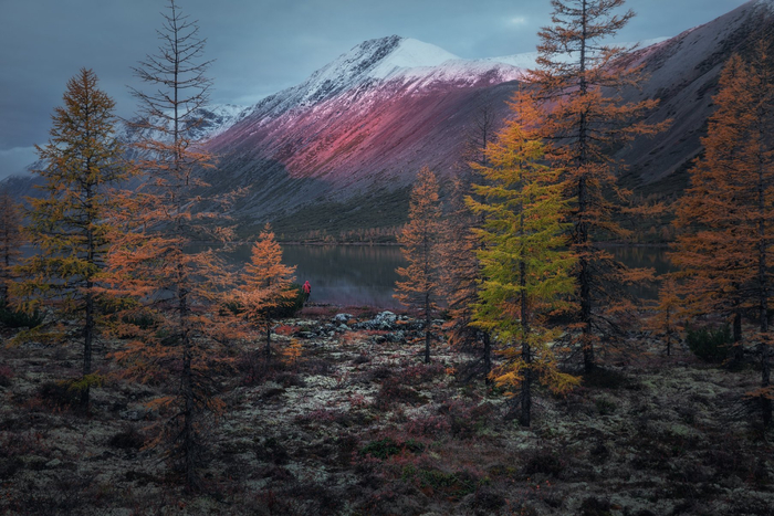 Раннее утро на озере. Фото: Дмитрий Шишкин <a href="https://pikabu.ru/story/gdeto_na_yuge_13222469?u=https%3A%2F%2Frtraveler.ru%2Fphoto%2F1478253%2F%3Feditorial_photos%3D1&t=%D0%BE%D1%82%D1%81%D1%8E%D0%B4%D0%B0&h=94c086741619f2d9b832bc8e8f27c56c4f8fc0e5" title="https://rtraveler.ru/photo/1478253/?editorial_photos=1" target="_blank" rel="nofollow noopener">отсюда</a>