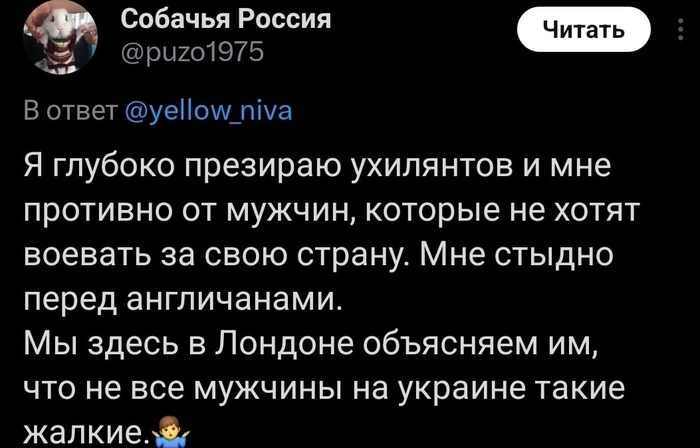 Слёзы ухилянтов