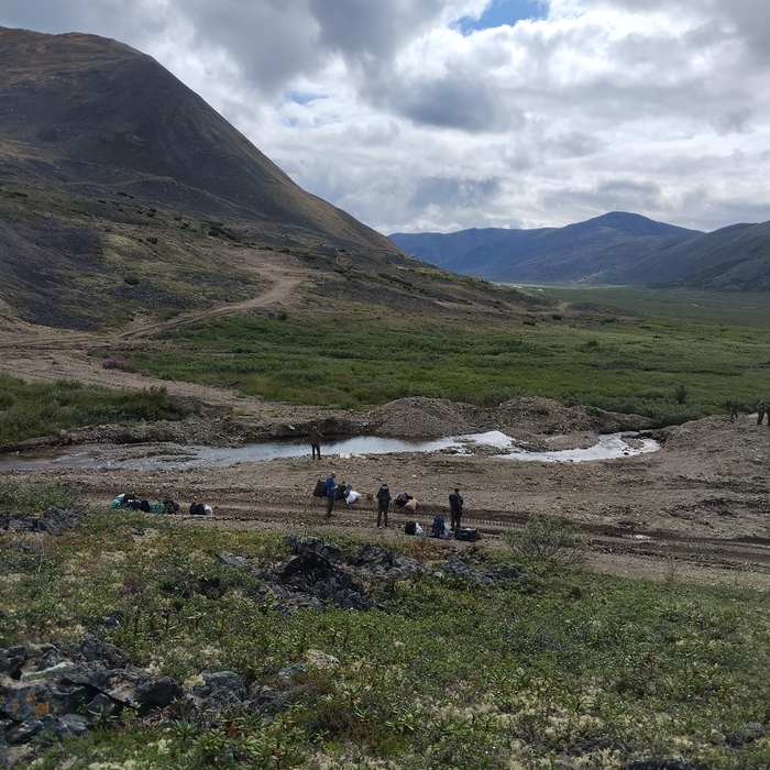 Лагерь будет стоять на заболоченном луге?