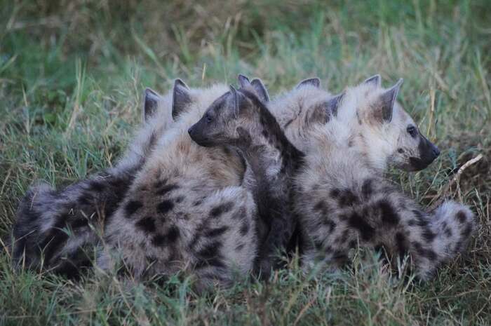 Вместе теплее