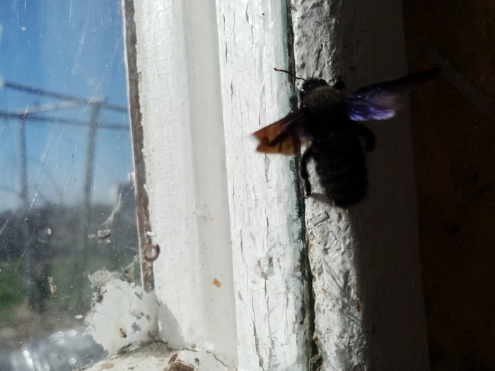       ,        .  ,    ,     .