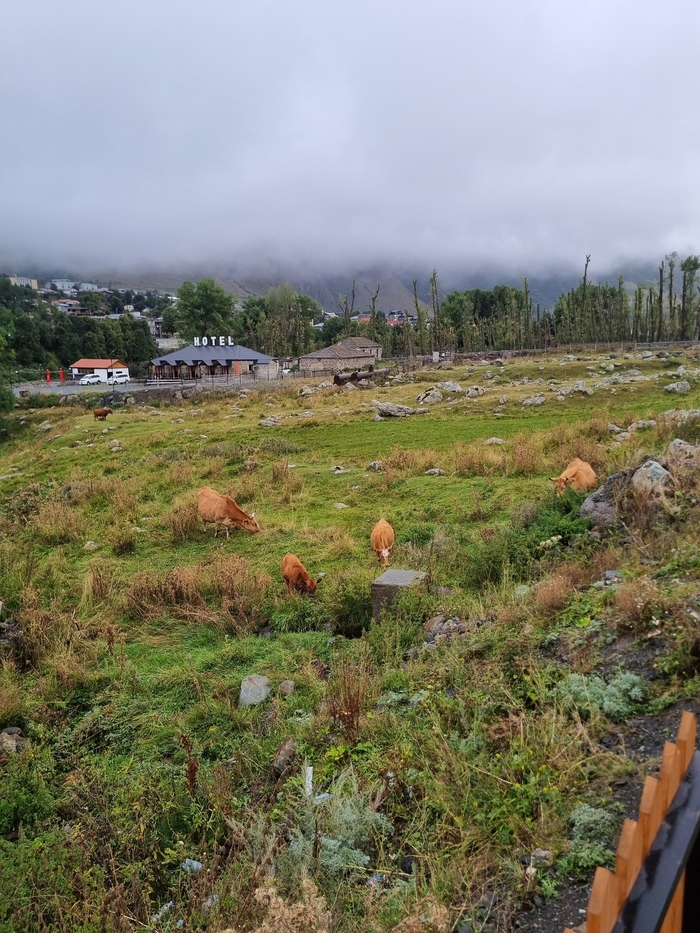 Посёлок Степанцмида.