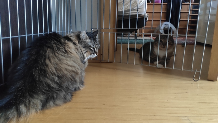 Ну здравствуй, голодранка. (ах да, я же такая же. тьфу ты).