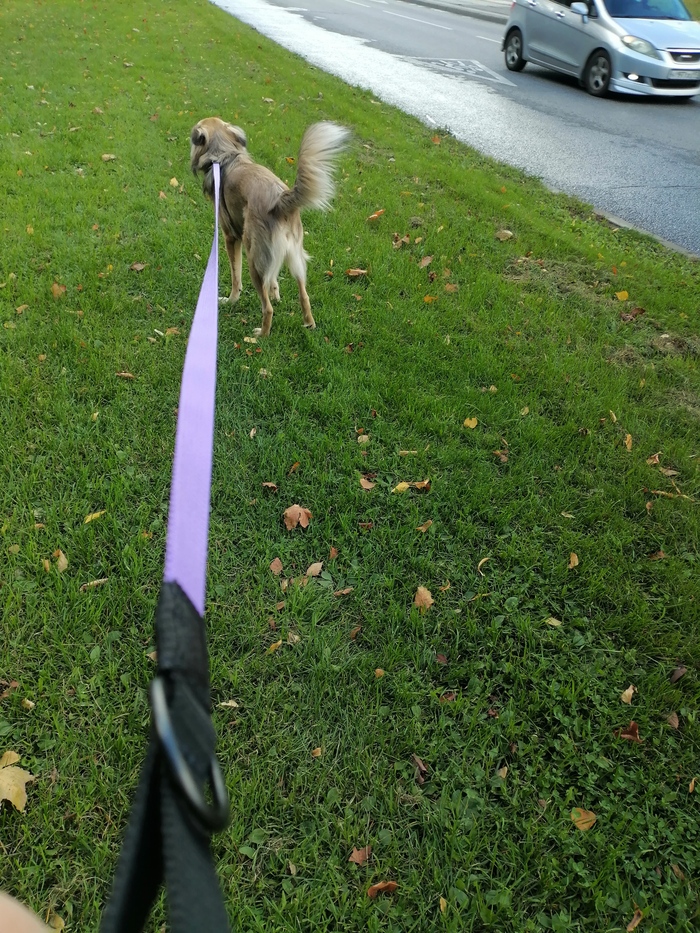 Прошла выставка ПаркЗоо