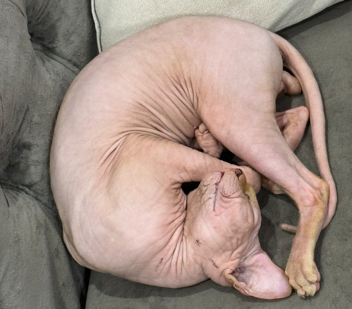 <a href="https://pikabu.ru/story/subbota_13227316?u=https%3A%2F%2Fcs18.pikabu.ru%2Fs%2F2025%2F09%2F27%2F23%2Fiiprcary.jpg&t=https%3A%2F%2Fcs18.pikabu.ru%2Fs%2F2025%2F09%2F27%2F23%2Fiiprcary.jpg&h=2632939417c0aa069f7237ecf68c625813b89c45" title="https://cs18.pikabu.ru/s/2025/09/27/23/iiprcary.jpg" target="_blank" rel="noopener">https://cs18.pikabu.ru/s/2025/09/27/23/iiprcary.jpg</a>